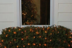 4' X 6' Orange Mini Incandescent Net Style Christmas Lights - Green Wire 6 4' X 6' Orange Mini Incandescent Net Style Christmas Lights - Green Wire -Best Christmas Store 45jpjtwipxupidx0i3govygltioffsod 27760.1667489938