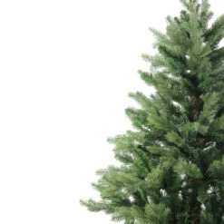 6' Mixed Eden Pine Artificial Christmas Tree - Unlit -Best Christmas Store 54eicahwdcqetvofjhegr069k2lnllre 70797.1686702324