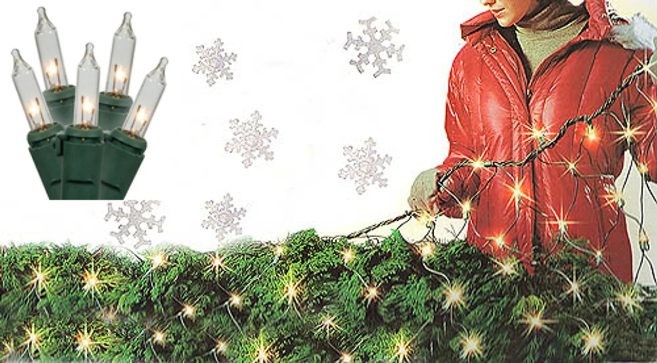 4' X 6' Clear Twinkling Net Style Christmas Lights, Green Wire 1 4' X 6' Clear Twinkling Net Style Christmas Lights, Green Wire