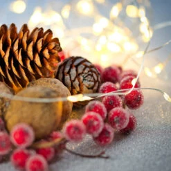 100 Warm White LED Micro Fairy Lights - 16.25 Ft Copper Wire -Best Christmas Store clearfairy2updated 53683.1671319094