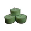 Club Pack Of 12 Green Organic Scented Tealight Candles 6"