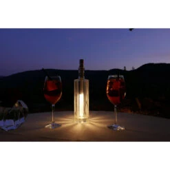 10.25" Clear And Silver Battery Operated LED Wine Bottle Light -Best Christmas Store dghh20bot03 w 3 24245.1682081401