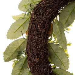 Greenery Lemon Artificial Christmas Wreath - 22-Inch, Unlit -Best Christmas Store dglit 2009600005 3 10347.1667562181