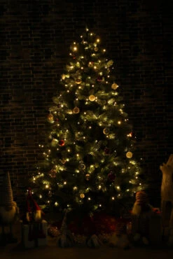 65.25' Multi-Function Timed Pattern String Lights - 200 RGB LED With Remote -Best Christmas Store dhine 37511 200 6 49706.1667513635