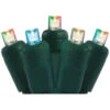 50 Multi-Color Magic Mix LED Wide Angle Christmas String Lights - 25.17 Ft Green Wire