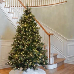 7.5 Ft. Carolina Pine Tree With Clear Lights -Best Christmas Store dnat20cap3 306 75 2 81479.1686079931