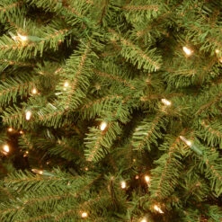 4’ Pre-Lit Dunhill Fir Artificial Christmas Tree - Clear Lights -Best Christmas Store dnat duh 40lo 3 07242.1667576076