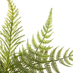 22" Garden Accents Cosmo Artificial Wreath -Best Christmas Store dnat gabf30 22wg 5 31717.1667640158