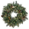 Pre-Lit Golden Bristle Pine Artificial Christmas Wreath, 24-Inch, Warm White LED Lights