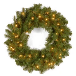 24” Pre-Lit Kincaid Spruce Artificial Christmas Wreath - Clear Lights