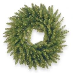 24" Pre-Lit B/O Kingswood Fir Artificial Christmas Wreath - Warm White LED Infinity Lights