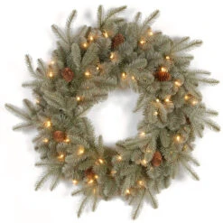 Pre-Lit Frosted Arctic Spruce Artificial Christmas Wreath - 24-Inch, Clear Lights