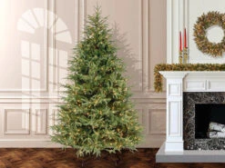 7.5’ Pre-Lit Frasier Grande Artificial Christmas Tree – Dual Color LED Lights -Best Christmas Store dnat pefg4 308ld 75 3 46882.1667519855