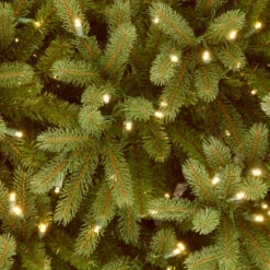 6.5' Pre-Lit Green Jersey Fraser Fir Artificial Christmas Tree, Clear Lights -Best Christmas Store dnat pejf1 362 65 3 12830.1667580445