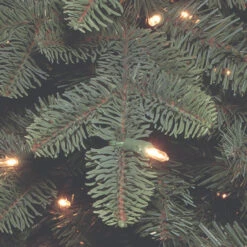 7.5’ Pre-Lit Mountain Noble Blue Spruce Artificial Christmas Tree – Clear Lights 5 7.5’ Pre-Lit Mountain Noble Blue Spruce Artificial Christmas Tree – Clear Lights -Best Christmas Store dnat pembs3 300 75 3 20895.1667578363