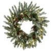 Pre-Lit Snowy Morgan Spruce Artificial Christmas Wreath, 24-Inch, Warm White LED Lights
