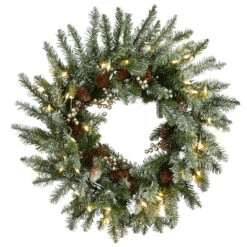 Pre-Lit Snowy Morgan Spruce Artificial Christmas Wreath, 24-Inch, Warm White LED Lights