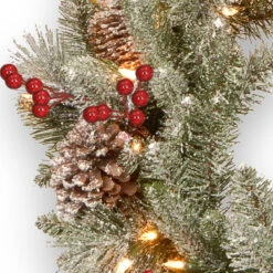 24" Pre-Lit Snowy Bristle Berry Artificial Christmas Wreath - Warm White LED Lights/BO -Best Christmas Store dnat pesb3 300 24wbr 3 74178.1667536238