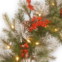 Pre-Lit Wintry Berry Artificial Christmas Wreath - 30-Inch, LED Lights -Best Christmas Store dnat pewt 300 30wb 1 3 00160.1667522083