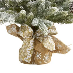 2' Potted Flocked Artificial Christmas Tree With Pinecones, Unlit -Best Christmas Store dnnl20t1986 6 52994.1681393426