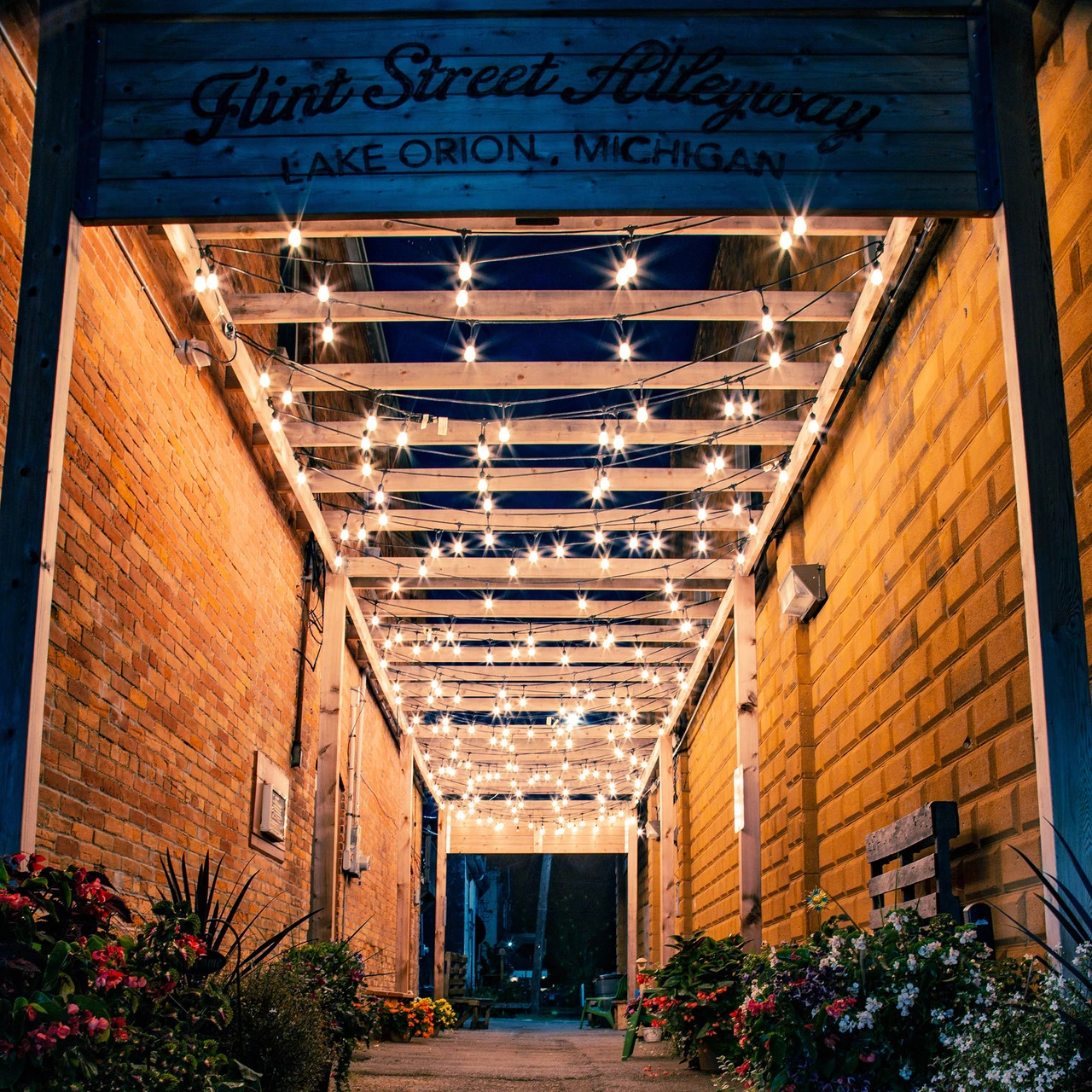 10-Count Clear Edison Glass Patio Lights, 9ft Green Wire 2 10-Count Clear Edison Glass Patio Lights, 9ft Green Wire - Image 2