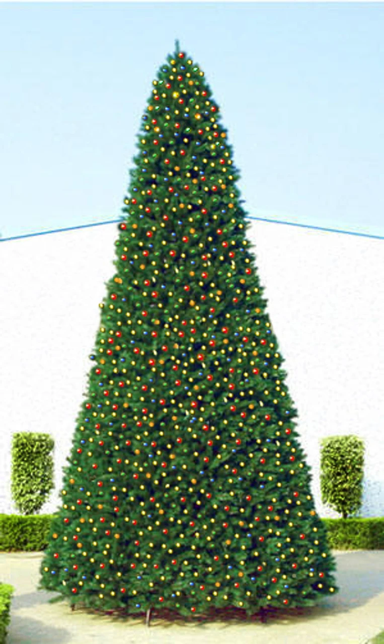 20' Pre-Lit Everest Fir Commercial Tower Christmas Tree - Multicolor C7 LED Lights 2 20' Pre-Lit Everest Fir Commercial Tower Christmas Tree - Multicolor C7 LED Lights - Image 2