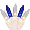 100-Count Blue & Clear Mini Christmas Lights - 21.5ft, White Wire
