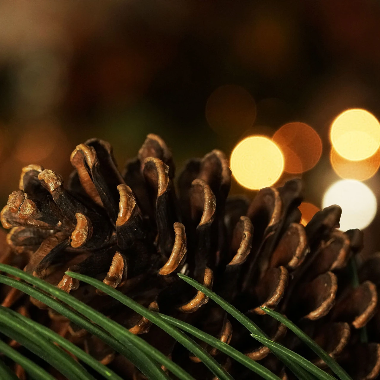 Long Pine Needle Artificial Christmas Wreath - 30-Inch, Unlit 4 Long Pine Needle Artificial Christmas Wreath - 30-Inch, Unlit - Image 4