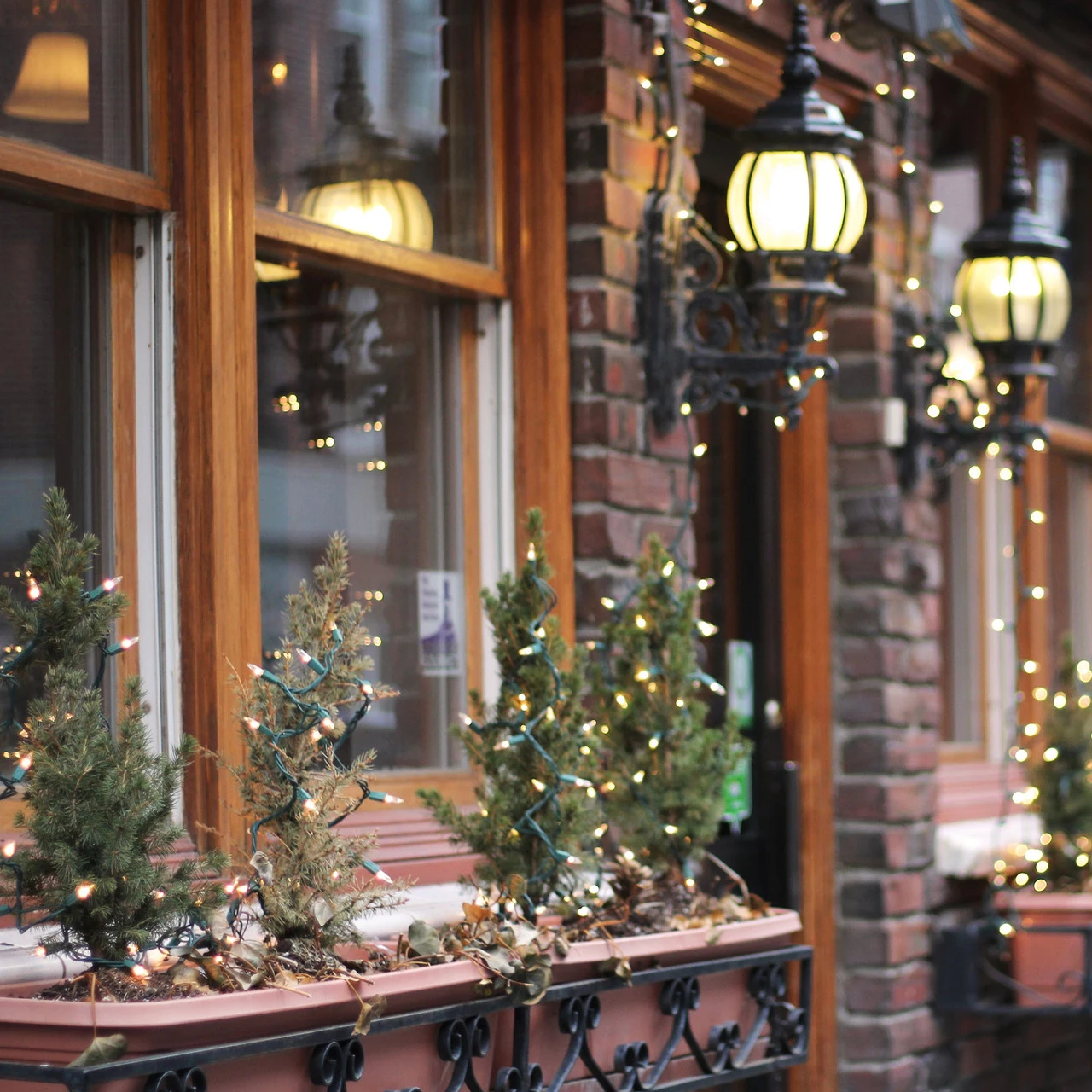 300-Count Clear Mini Christmas Light Set, 149.6ft Green Wire 3 300-Count Clear Mini Christmas Light Set, 149.6ft Green Wire - Image 3