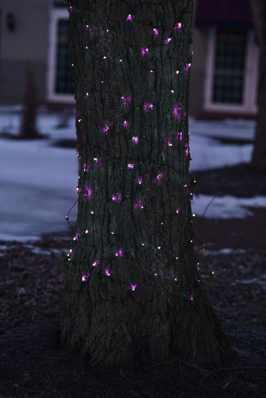 2' X 8' Purple Mini Tree Trunk Wrap Christmas Net Lights - Brown Wire 3 2' X 8' Purple Mini Tree Trunk Wrap Christmas Net Lights - Brown Wire - Image 3
