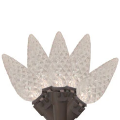 70 Warm White LED Faceted C6 Christmas Lights - 23 Ft Brown Wire