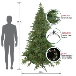 7.5' Pre-Lit Birch River Fir Artificial Christmas Tree, Candlelight Clear Lights -Best Christmas Store northlight20sm92997 81749.1667535769