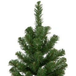 3' Blackwater Fir Medium Artificial Christmas Tree - Unlit 7 3' Blackwater Fir Medium Artificial Christmas Tree - Unlit -Best Christmas Store northlight b83522 3 31229.1667490053