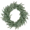 Frasier Fir Artificial Christmas Wreath - 24-Inch, Unlit