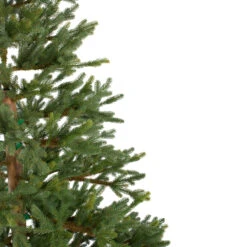 6.5' North Pine Artificial Christmas Tree, Unlit 9 6.5' North Pine Artificial Christmas Tree, Unlit -Best Christmas Store northlight c584780 1 86270.1683224780