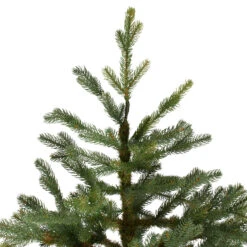 6.5' North Pine Artificial Christmas Tree, Unlit 10 6.5' North Pine Artificial Christmas Tree, Unlit -Best Christmas Store northlight c584780 3 33044.1683224781