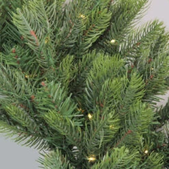 Pre-Lit LED Oregon Noble Fir Artificial Christmas Wreath - 30-Inch, Warm White Lights -Best Christmas Store northlight gb15592 2 62724.1667573444