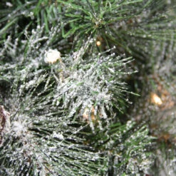 Pre-Lit Frosted Arctic Mist Pine Artificial Christmas Wreath - 30-Inch, Clear Lights 5 Pre-Lit Frosted Arctic Mist Pine Artificial Christmas Wreath - 30-Inch, Clear Lights -Best Christmas Store northlight gc yv134439 03 03587.1667643273