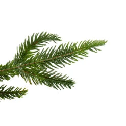 9' X 10" Roosevelt Fir Artificial Christmas Garland - Unlit -Best Christmas Store northlight hb rooseveltbranch 43945.1667623611