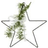 11" LED Lighted Star With Rosemary Sprig Christmas Decoration, Warm White Lights