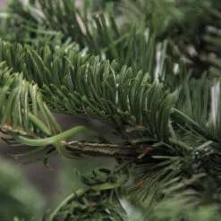 7.5ft Layered Nordmann Fir Artificial Christmas Tree - Unlit 5 7.5ft Layered Nordmann Fir Artificial Christmas Tree - Unlit -Best Christmas Store northlight j00083 3 45489.1667659183