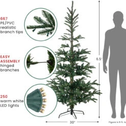 6.5' Pre-Lit Nordmann Fir Artificial Christmas Tree, Warm Clear LED Lights -Best Christmas Store northlight j00085 2 48707.1687966320