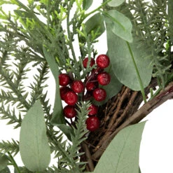 Mixed Foliage And Red Berries Artificial Christmas Wreath, 24-Inch, Unlit -Best Christmas Store northlight ll94346 3 00696.1680184581