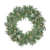 Pre-Lit Snow Mountain Pine Artificial Christmas Wreath - 24-Inch, Clear Lights