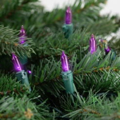 50ct Purple LED Mini Christmas Lights, 16.25ft Green Wire -Best Christmas Store northlight nl02531 styled202 43696.1678132321