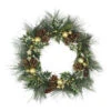 Long Needle Pine With Winter Foliage And Stars Christmas Wreath - 20-Inch, Unlit