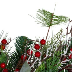 Dual Plaid And Berries Artificial Christmas Wreath - 24-Inch, Unlit 6 Dual Plaid And Berries Artificial Christmas Wreath - 24-Inch, Unlit -Best Christmas Store northlight sm91188 close 40163.1667569258