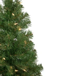 3' Pre-Lit Oakridge Noble Fir Artificial Christmas Tree, Clear Lights -Best Christmas Store northlight sm92895 3 48512.1667490893
