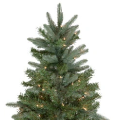 9' Pre-Lit Granville Fraser Fir Artificial Christmas Tree, Clear Lights -Best Christmas Store northlight sm92911 2 12806.1667530139