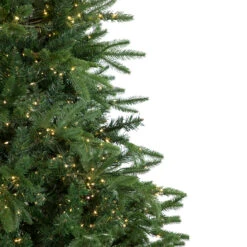 7.5' Pre-Lit Birch River Fir Artificial Christmas Tree, Candlelight Clear Lights -Best Christmas Store northlight sm92997 2 00396.1667535770